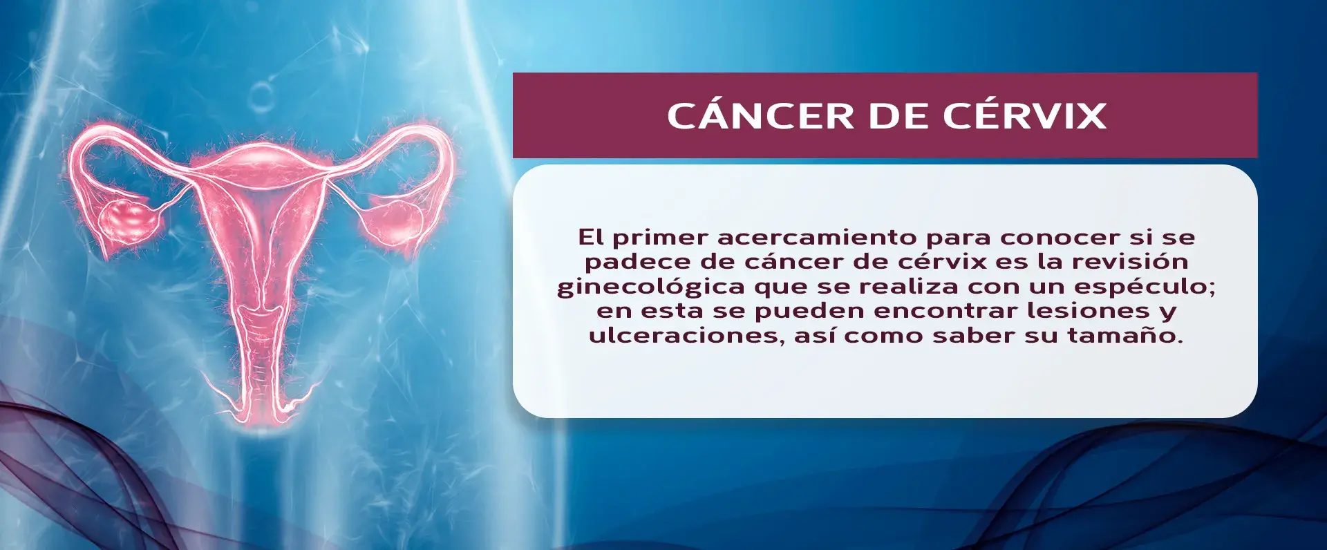 Las revisiones ginecológicas sirven para encontrar lesiones y ulceraciones