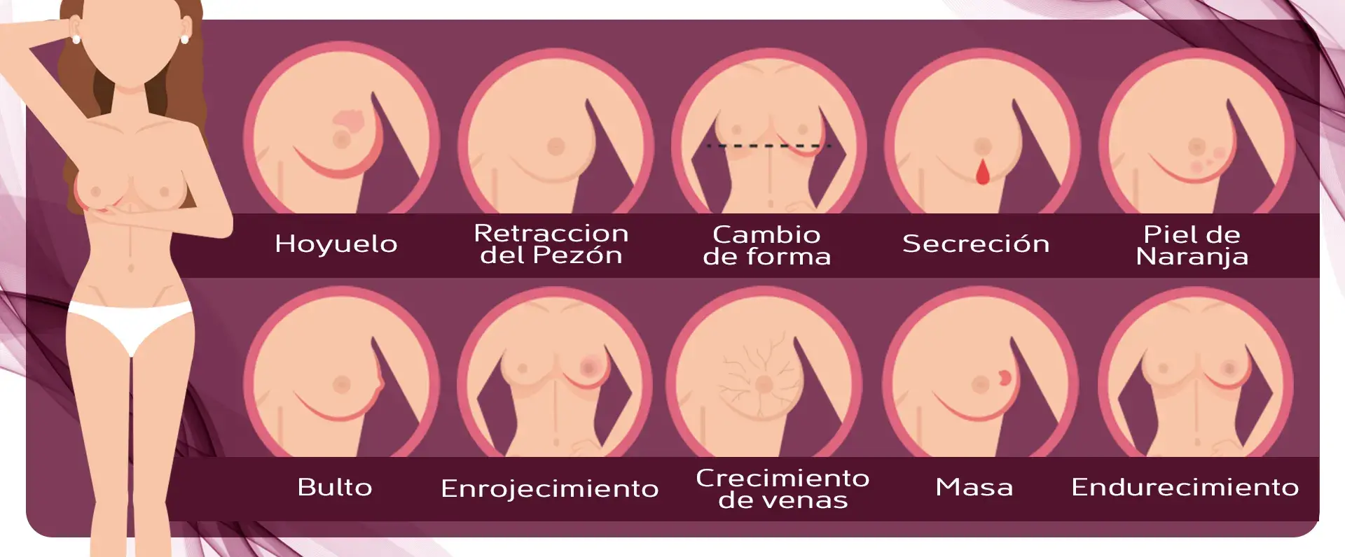 señal de alerta del cáncer de mama (hoyuelo, retracción del pezón, cambio de forma, secreción, piel de naranja, bulto, enrojecimiento, crecimiento de venas, masa, endurecimiento)