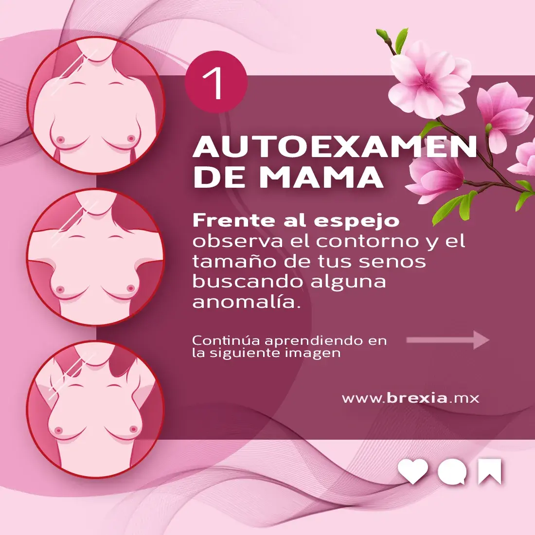 Observación frente al espejo de las mamas