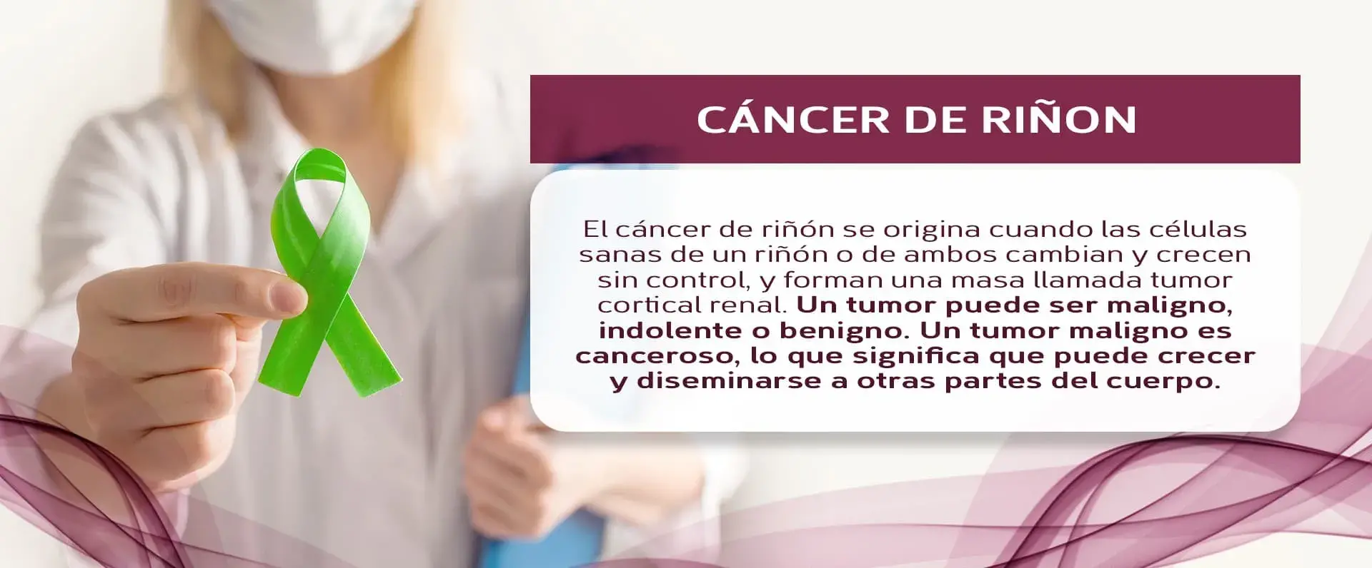 Tipos de tumores en el riñón (maligno, indolente, benigno).