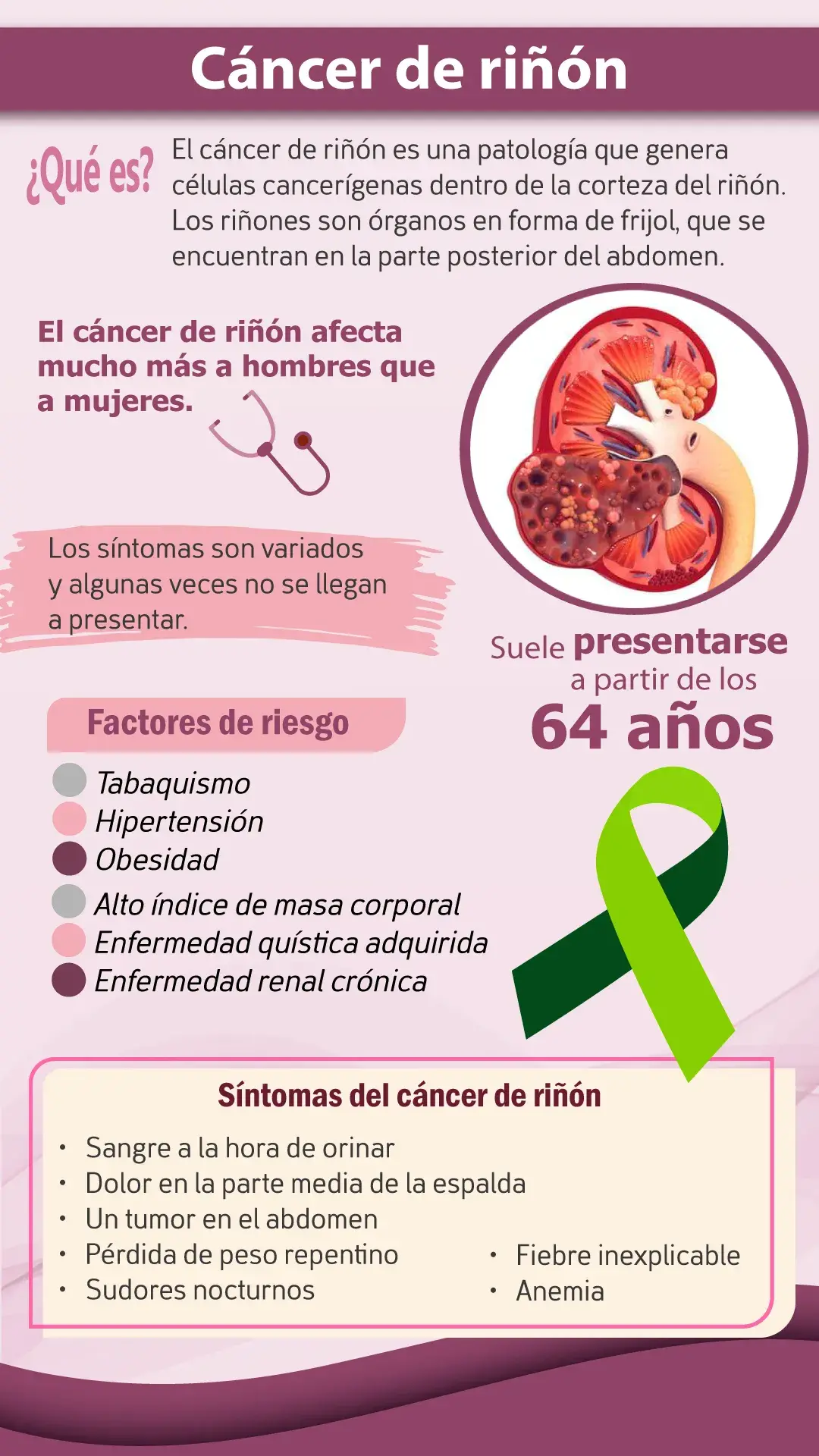 Qué es el cáncer de riñón, síntomas, factores de riesgo.